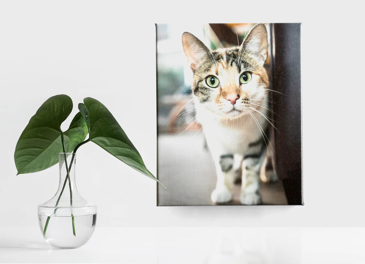 Canvas Prints - Image 5