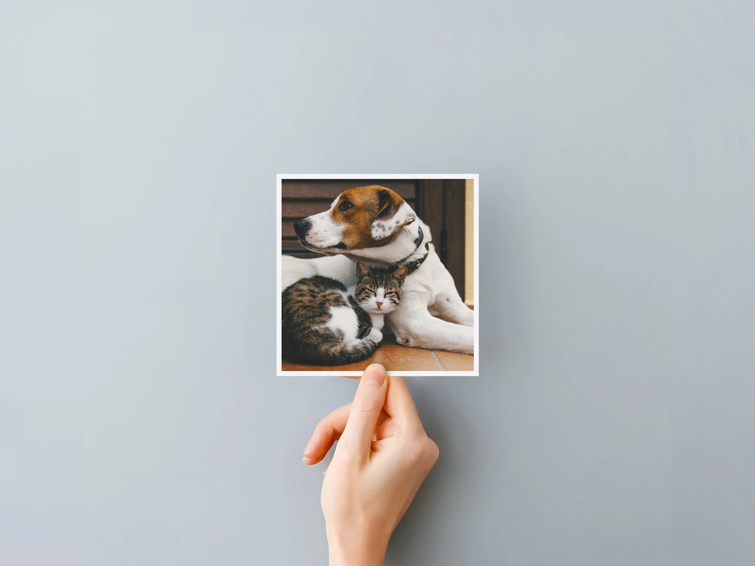 Classic Prints - Image 25