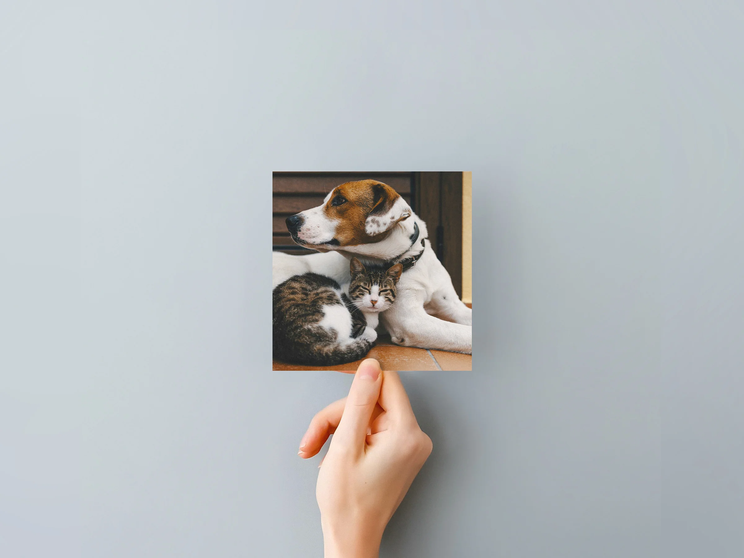 Classic Prints - Image 26