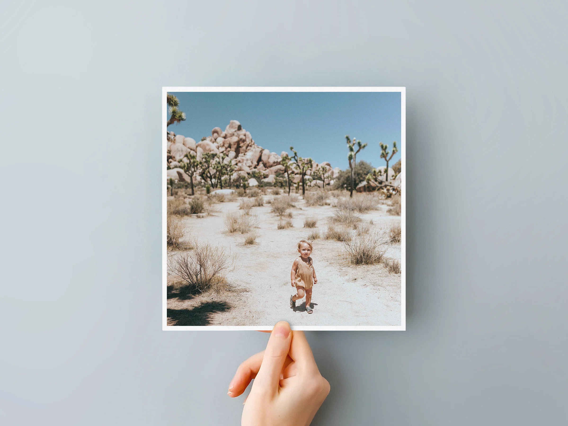 Classic Prints - Image 27