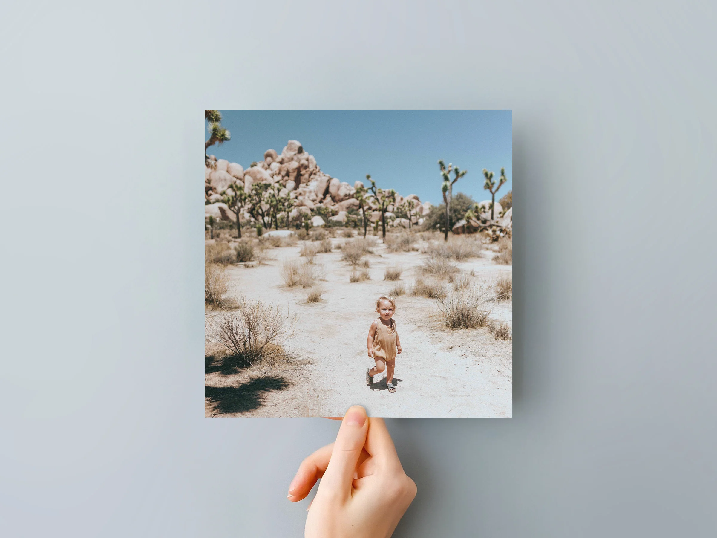 Classic Prints - Image 28