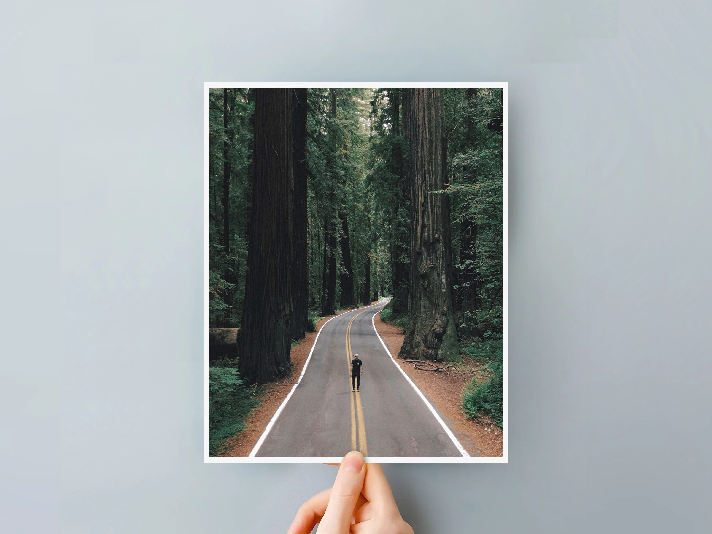 Classic Prints - Image 29