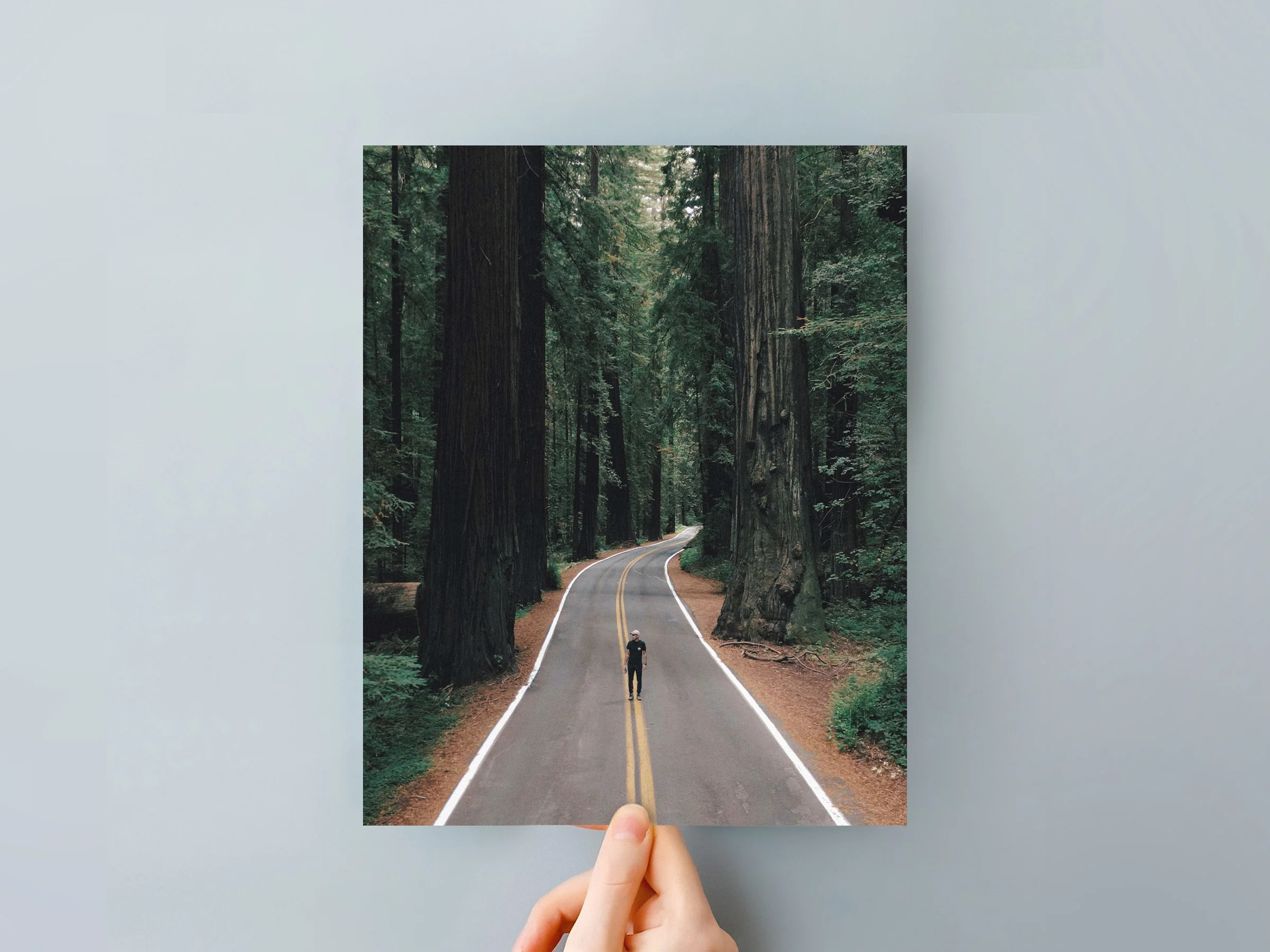 Classic Prints - Image 30