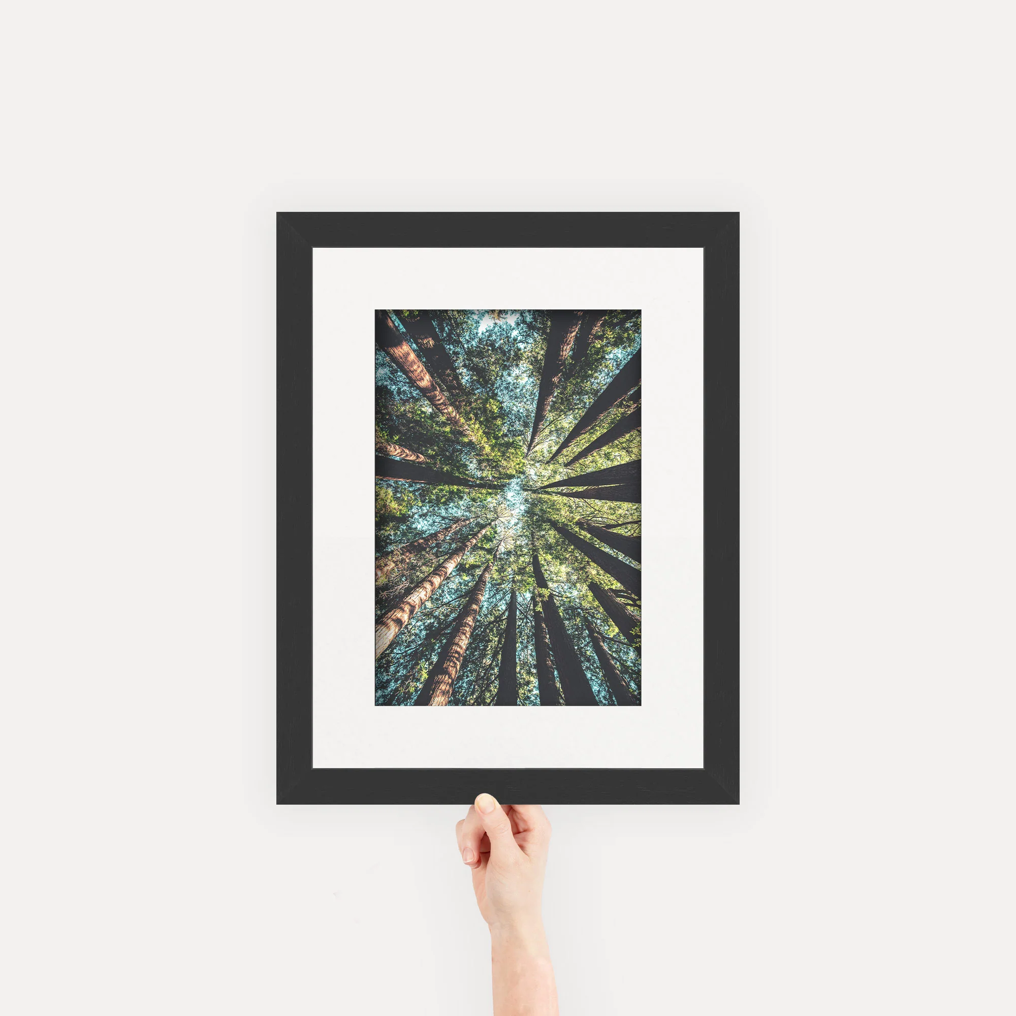 Gallery Frames - Image 32