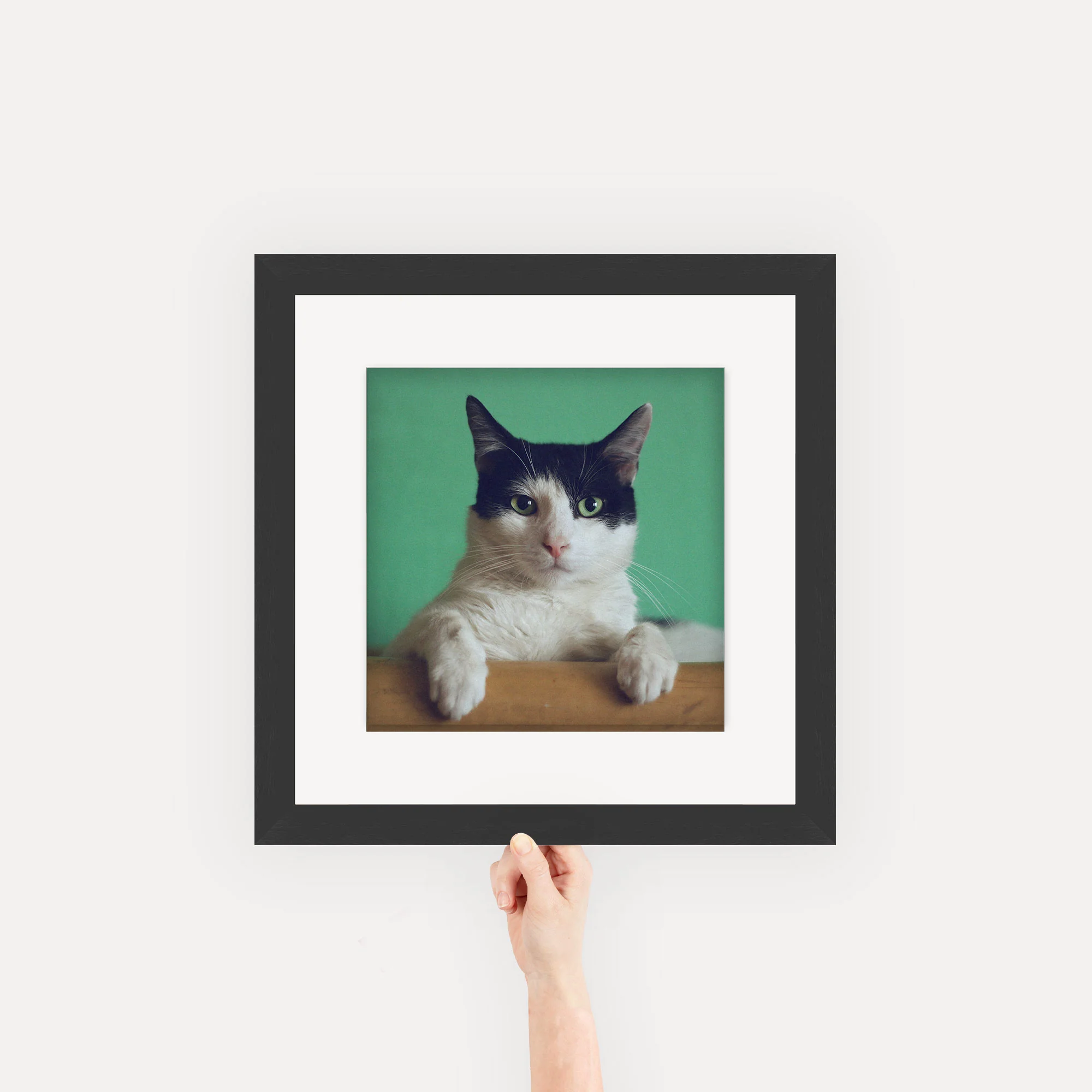 Gallery Frames - Image 38