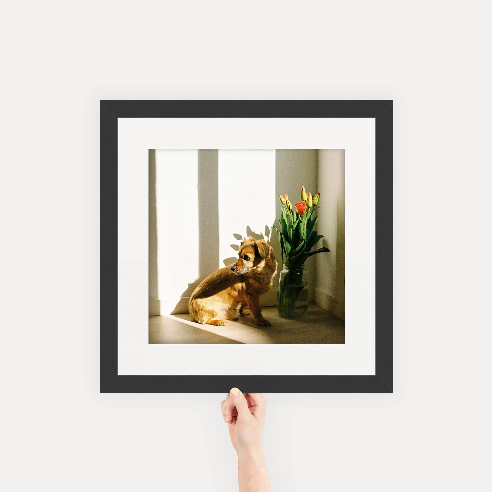 Gallery Frames - Image 44
