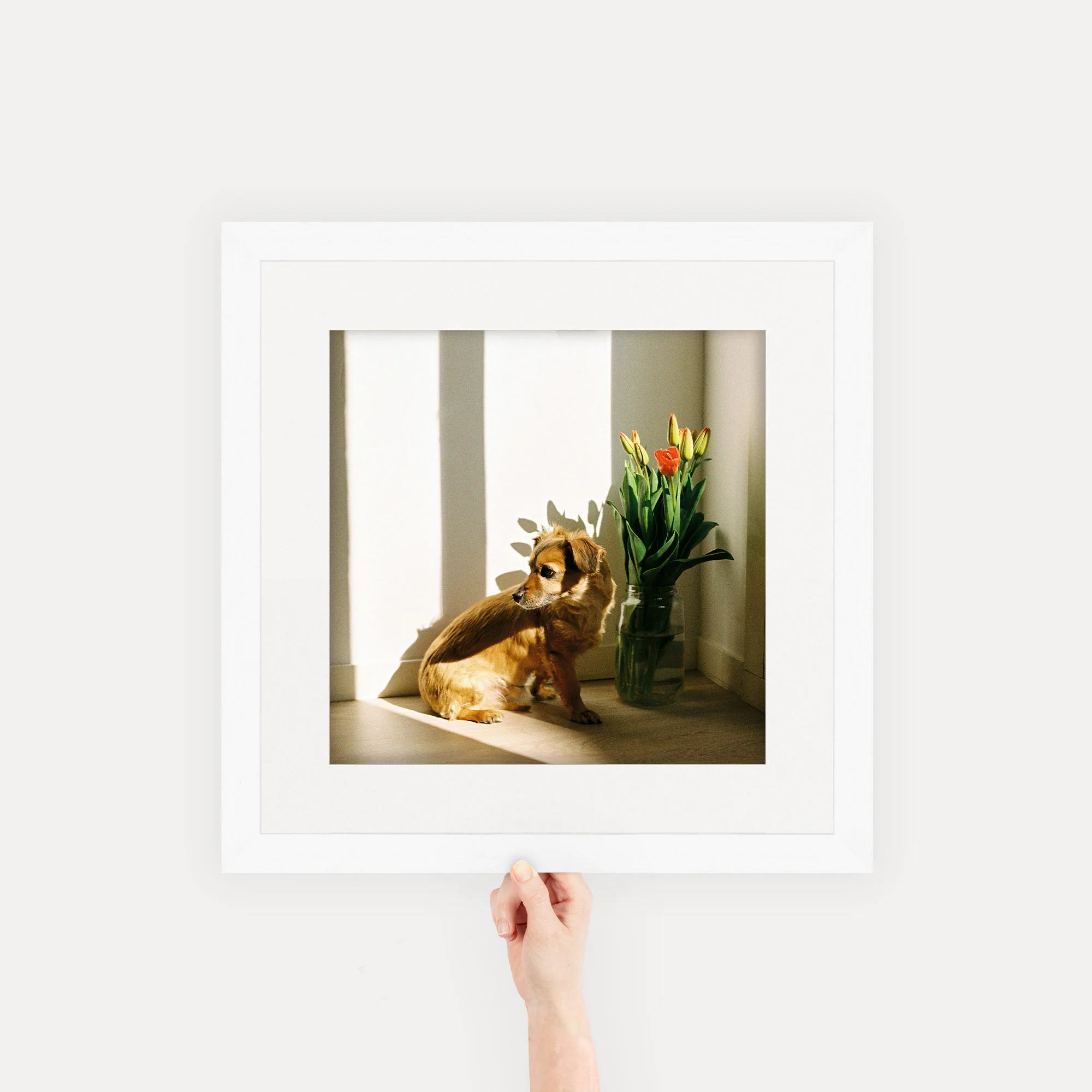 Gallery Frames - Image 46