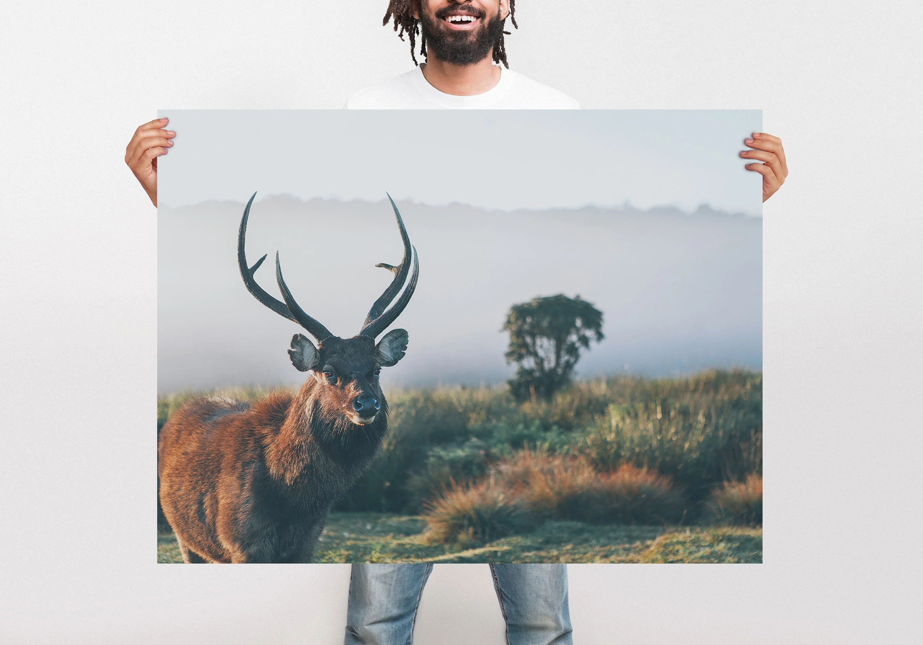 Large Format Prints - Image 14
