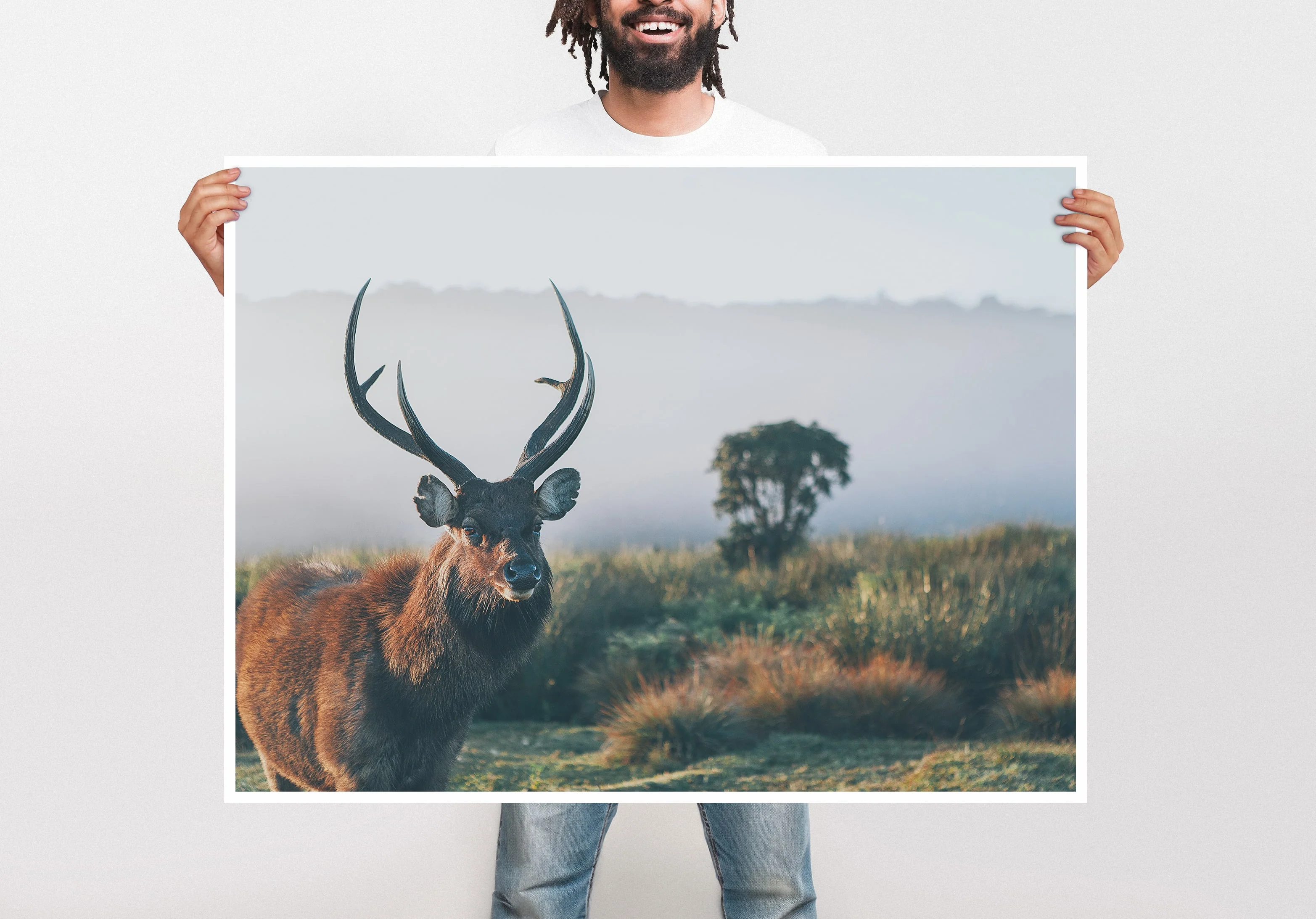 Large Format Prints - Image 15