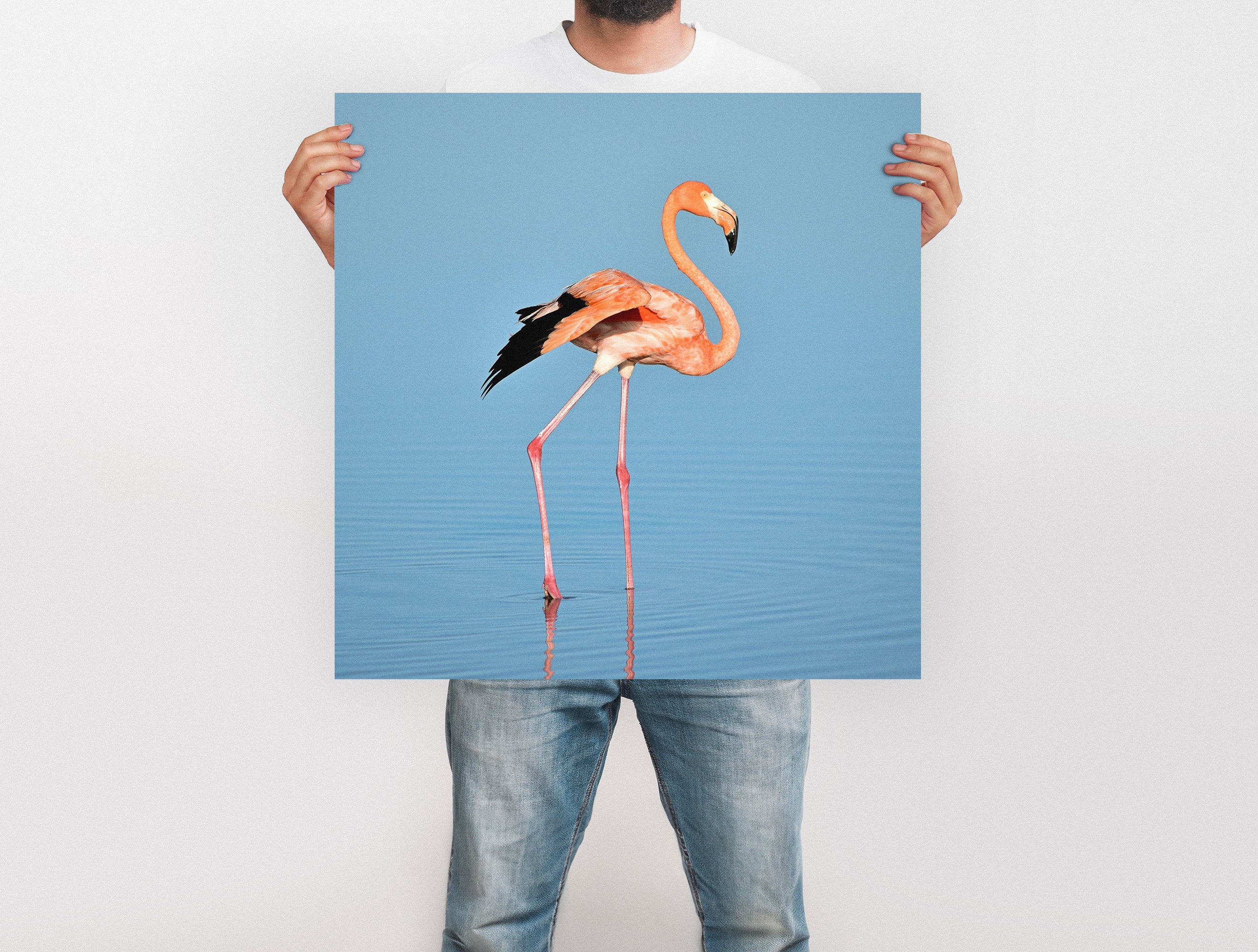 Large Format Prints - Image 22