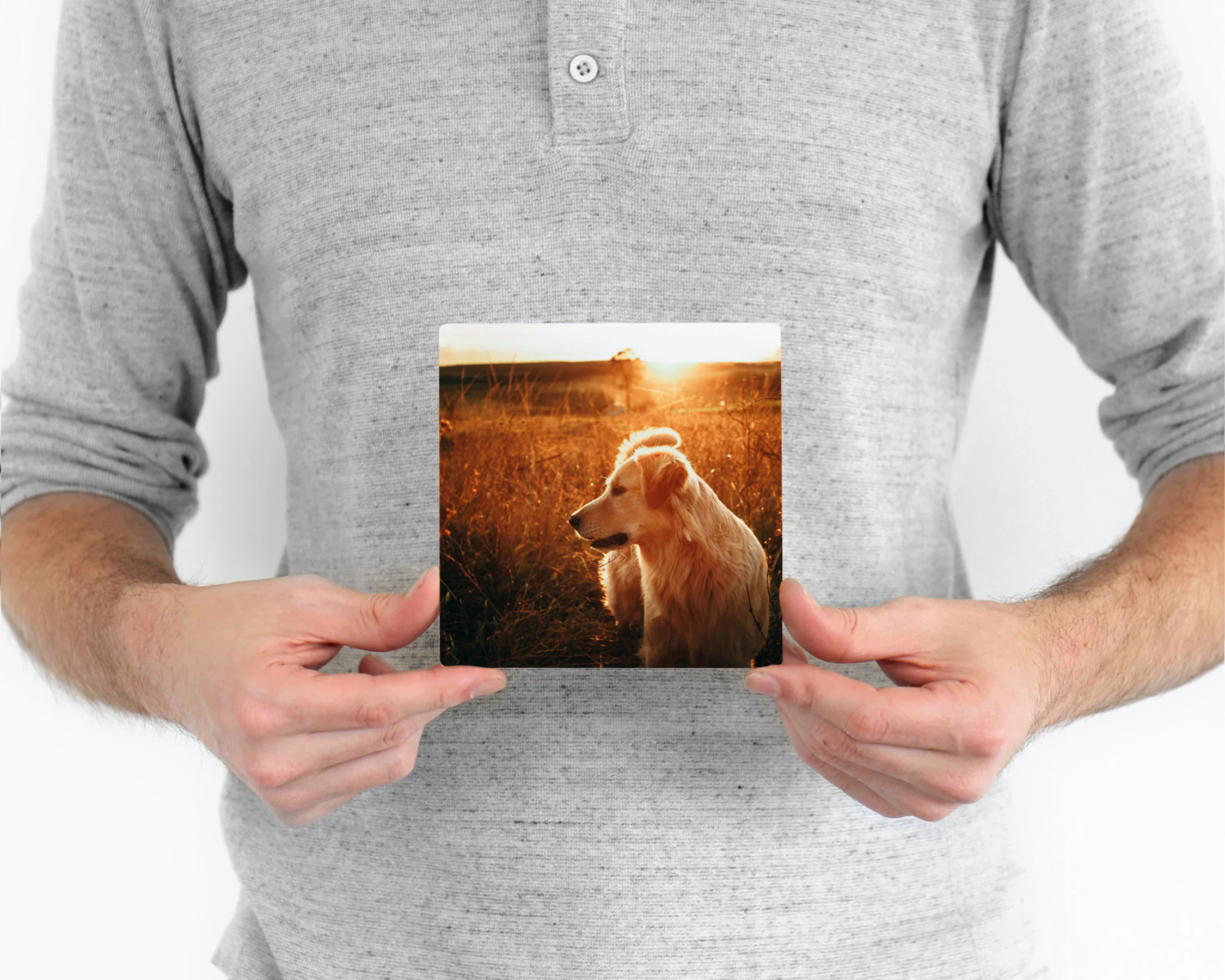 Metal Prints - Image 13