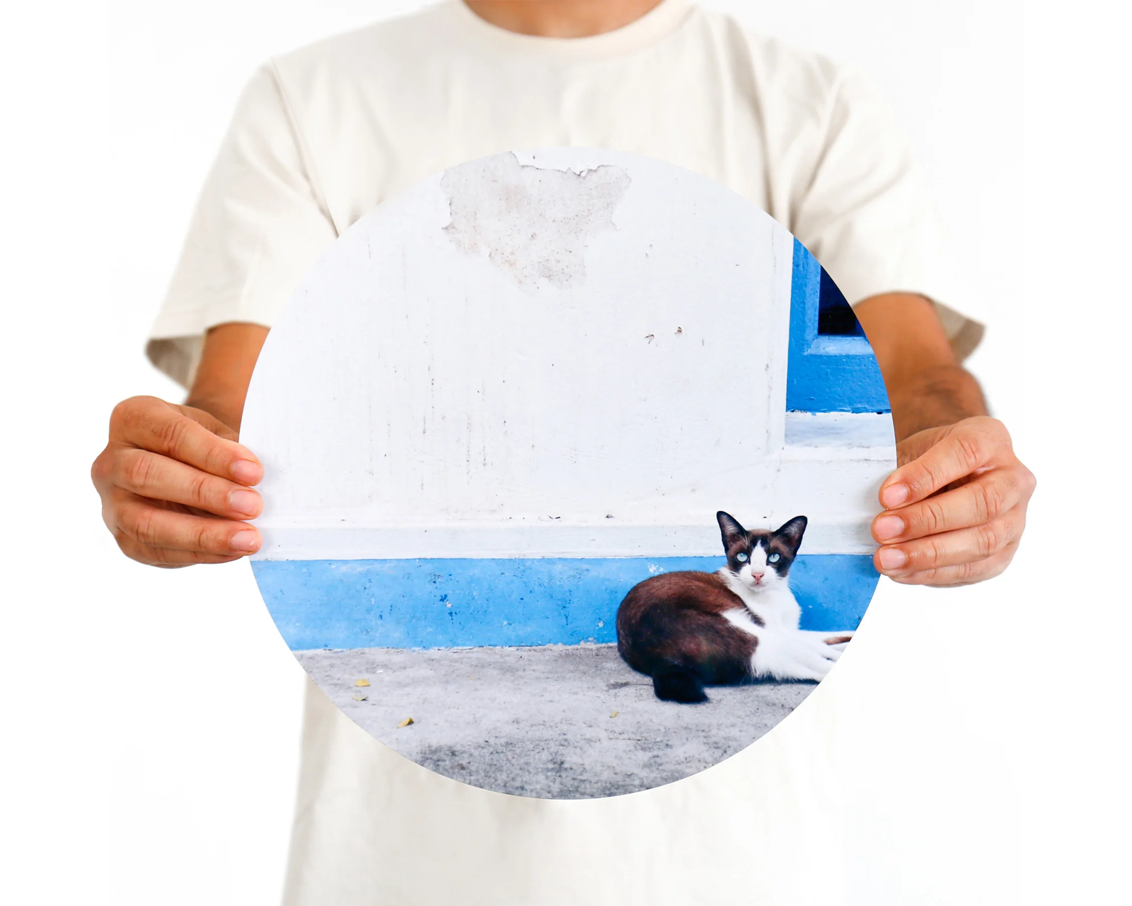 Metal Prints - Image 44