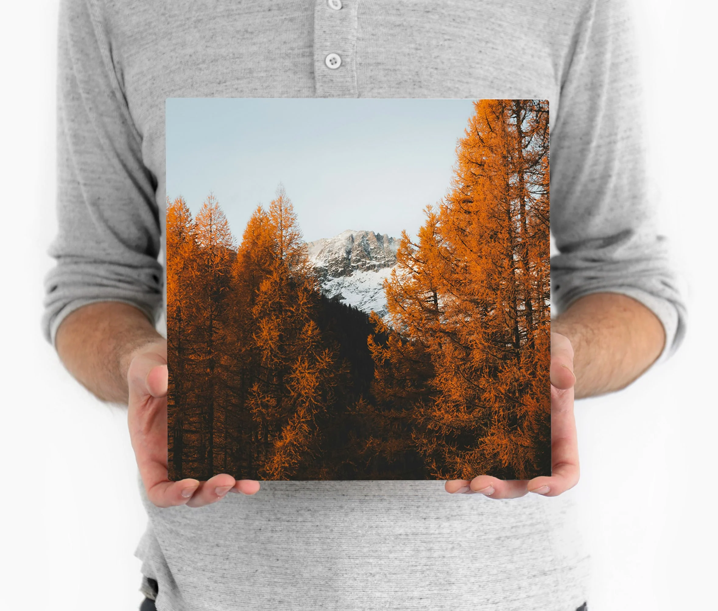 Metal Prints - Image 46