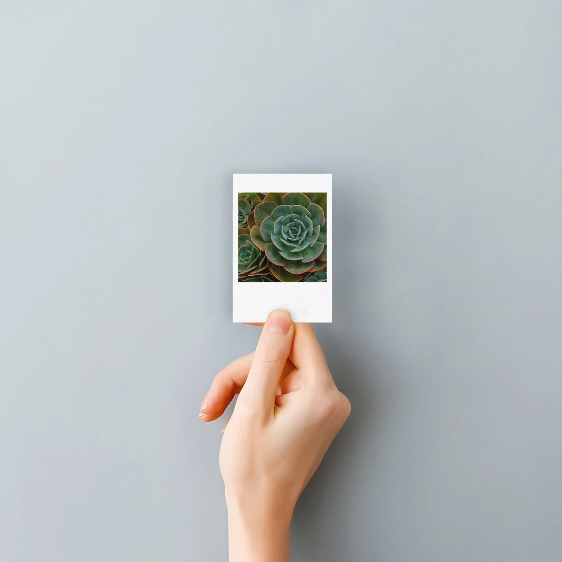 Mini Prints - Image 11