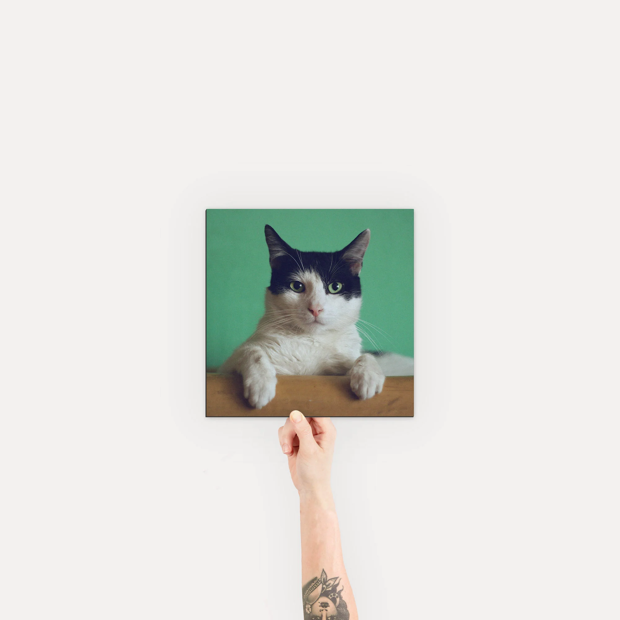 Mounted Prints - Image 12