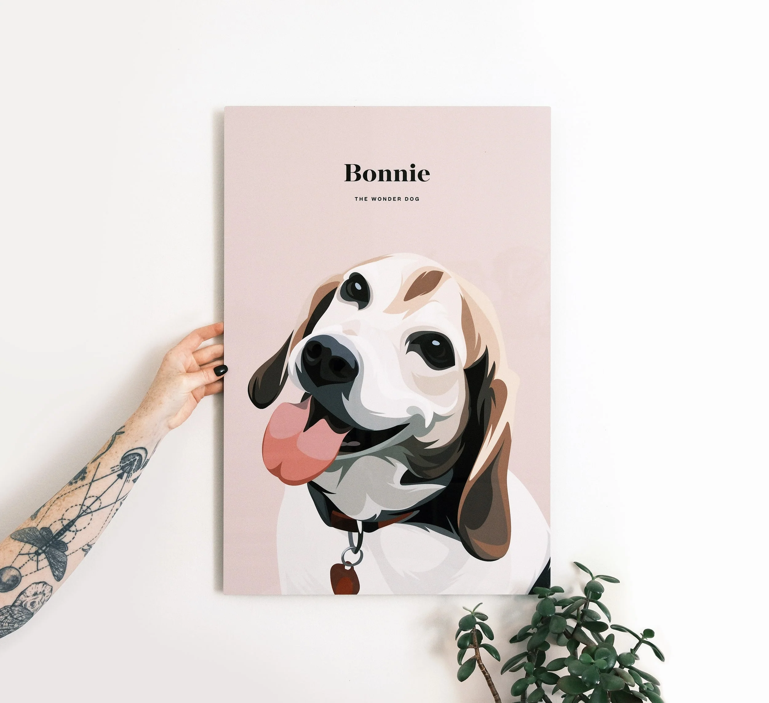 Pet Portrait - Image 11