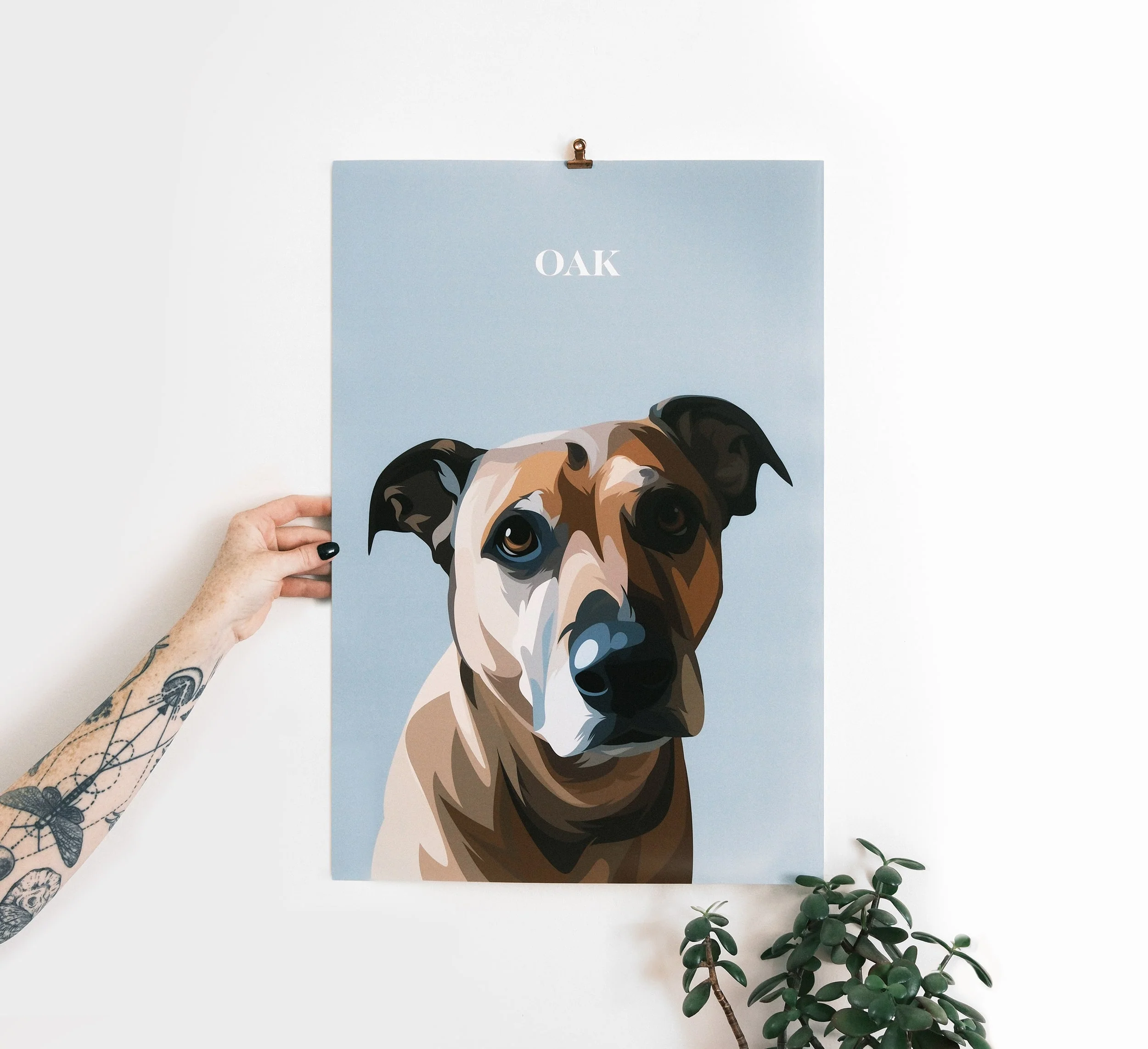 Pet Portrait - Image 15