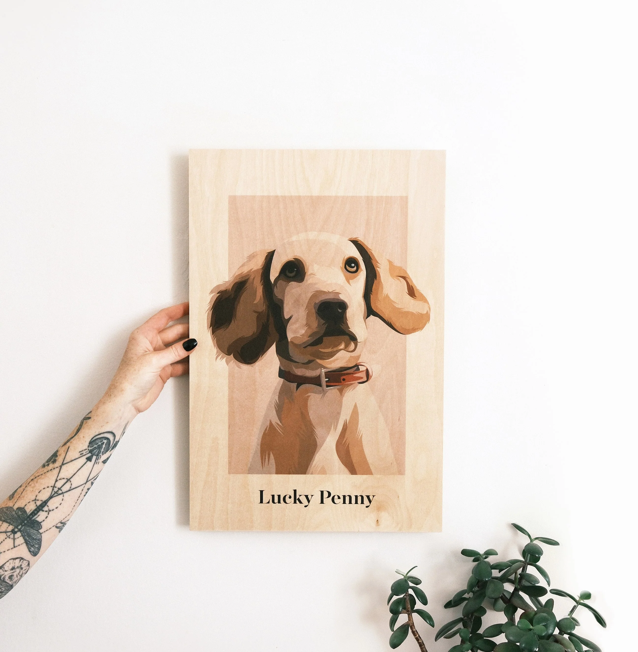 Pet Portrait - Image 16