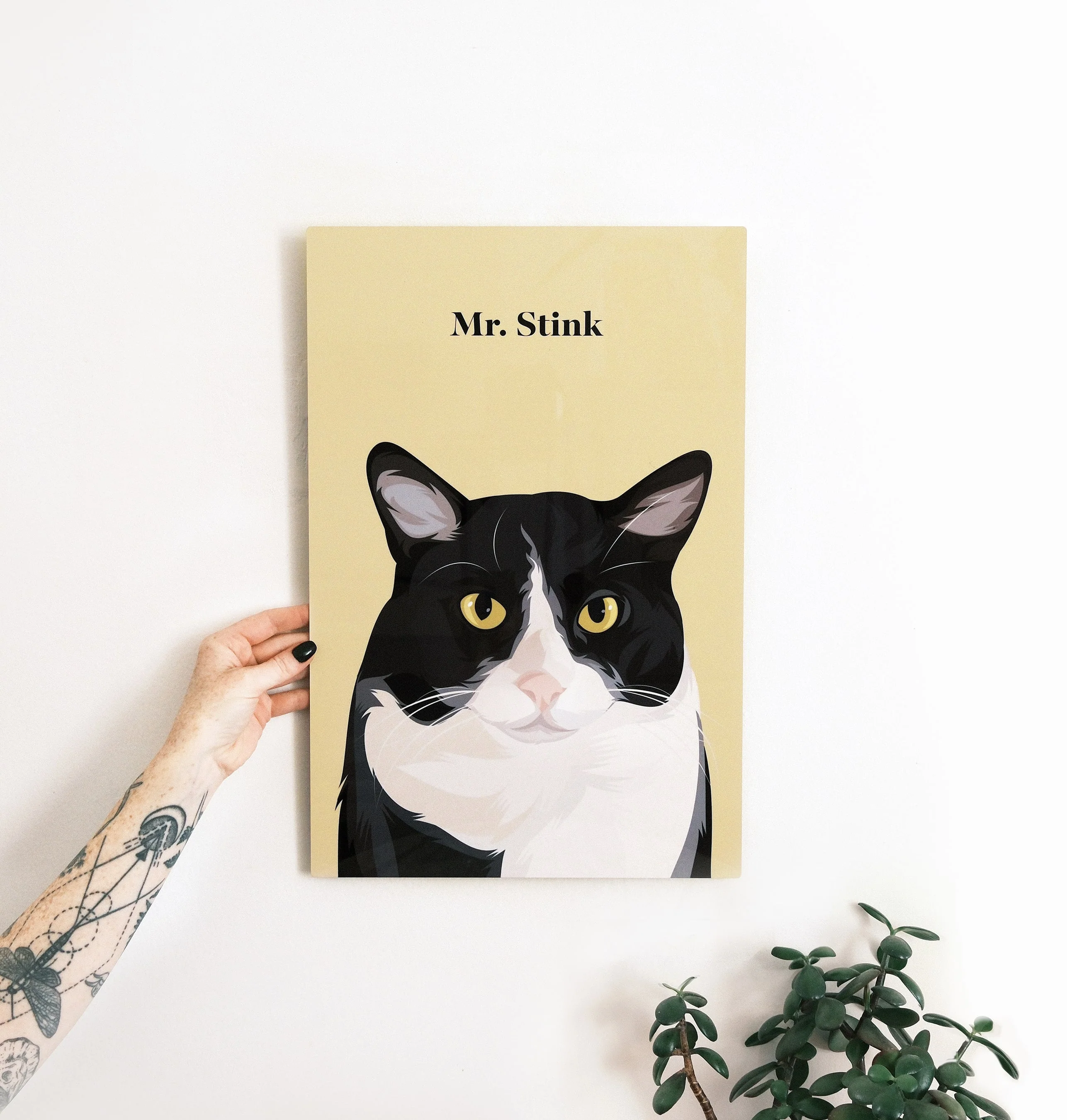 Pet Portrait - Image 17