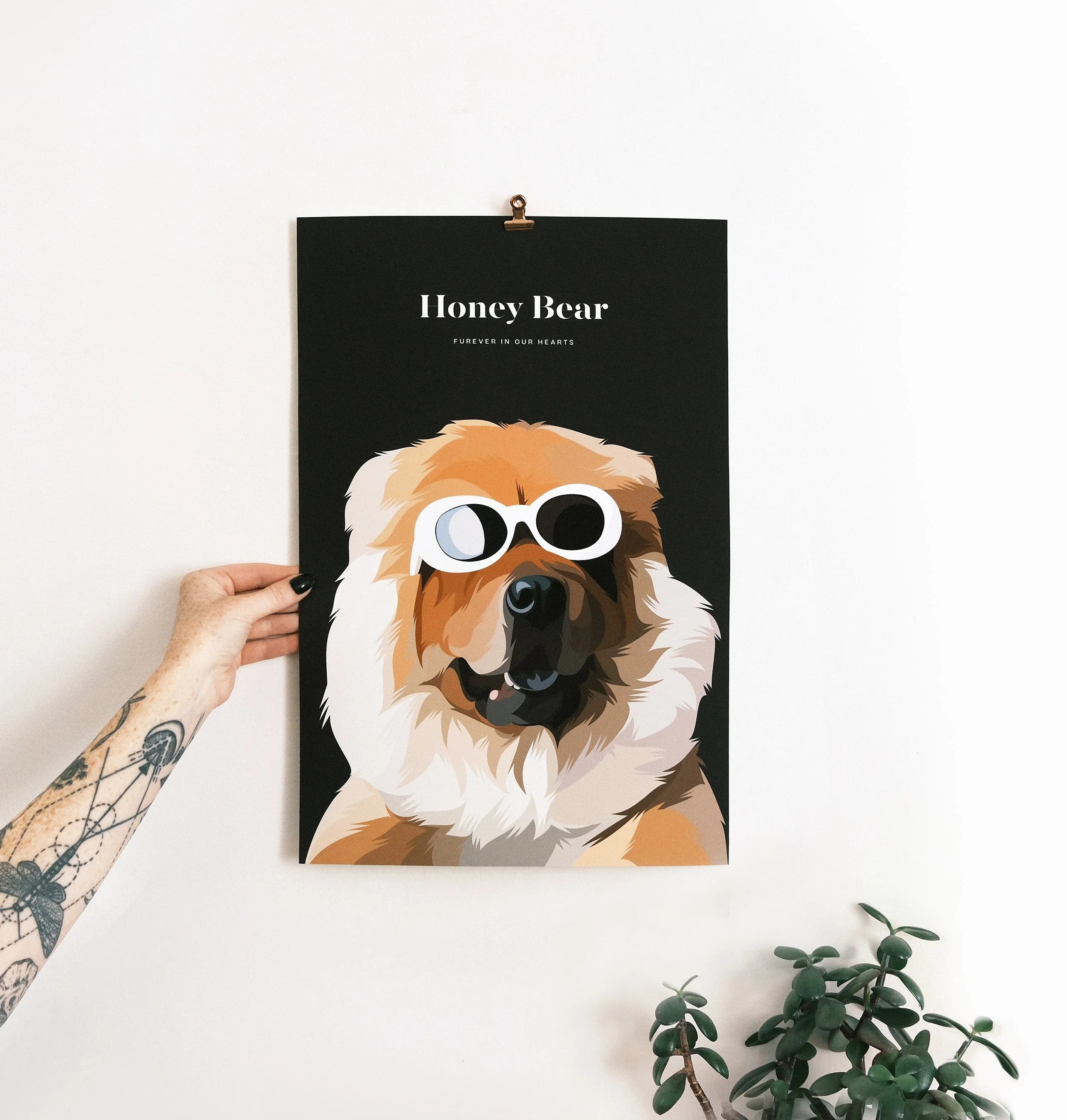 Pet Portrait - Image 21