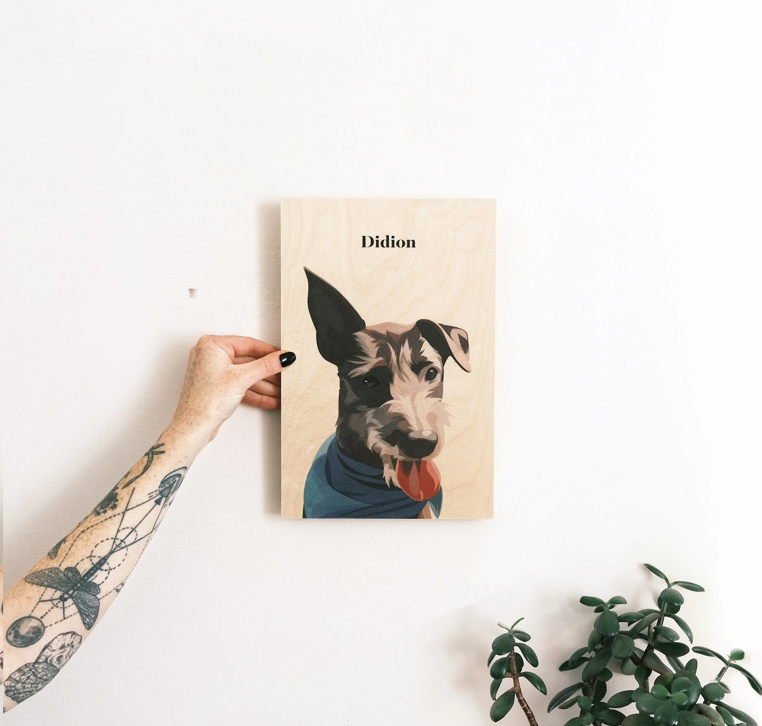 Pet Portrait - Image 22