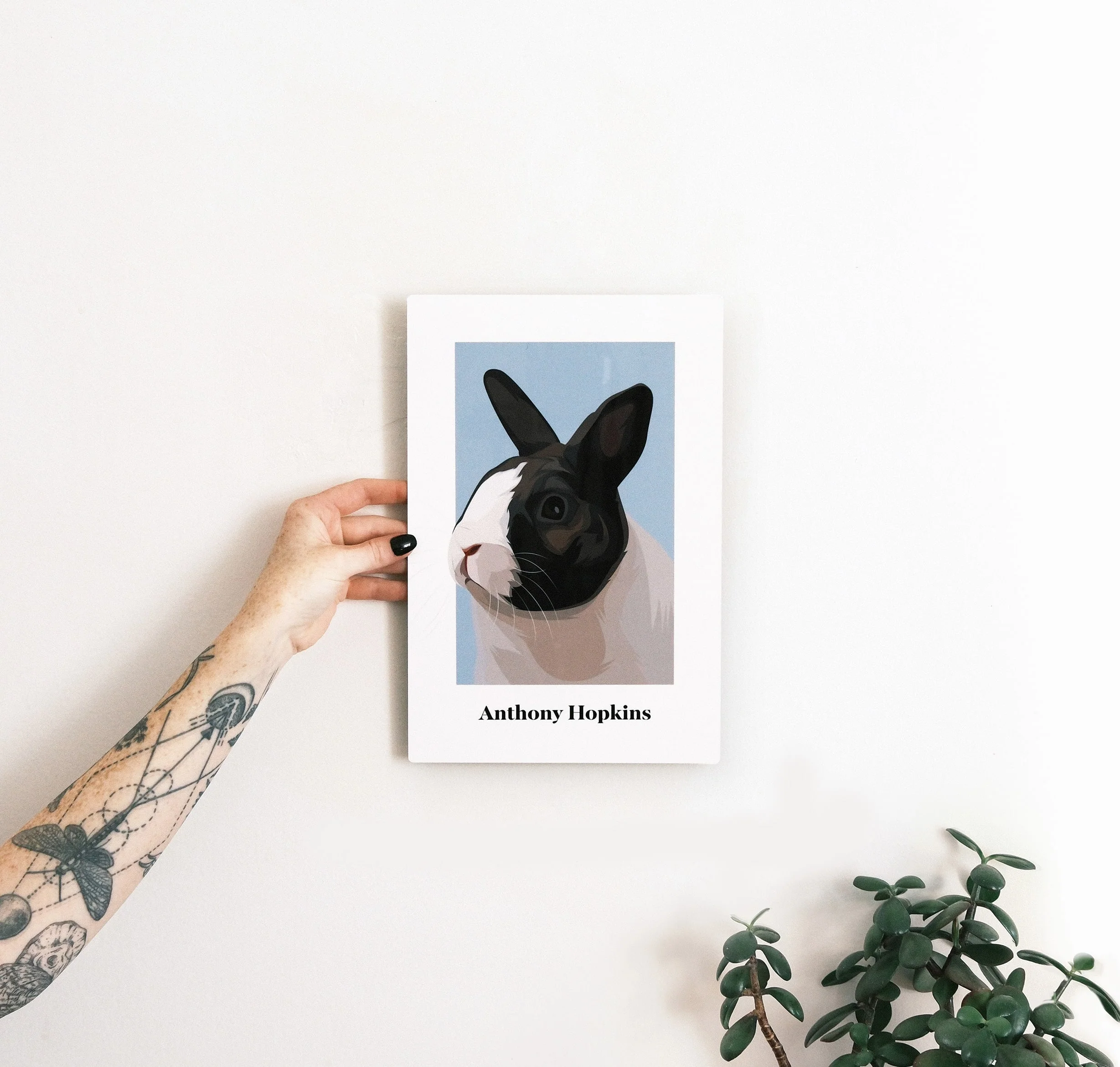 Pet Portrait - Image 23