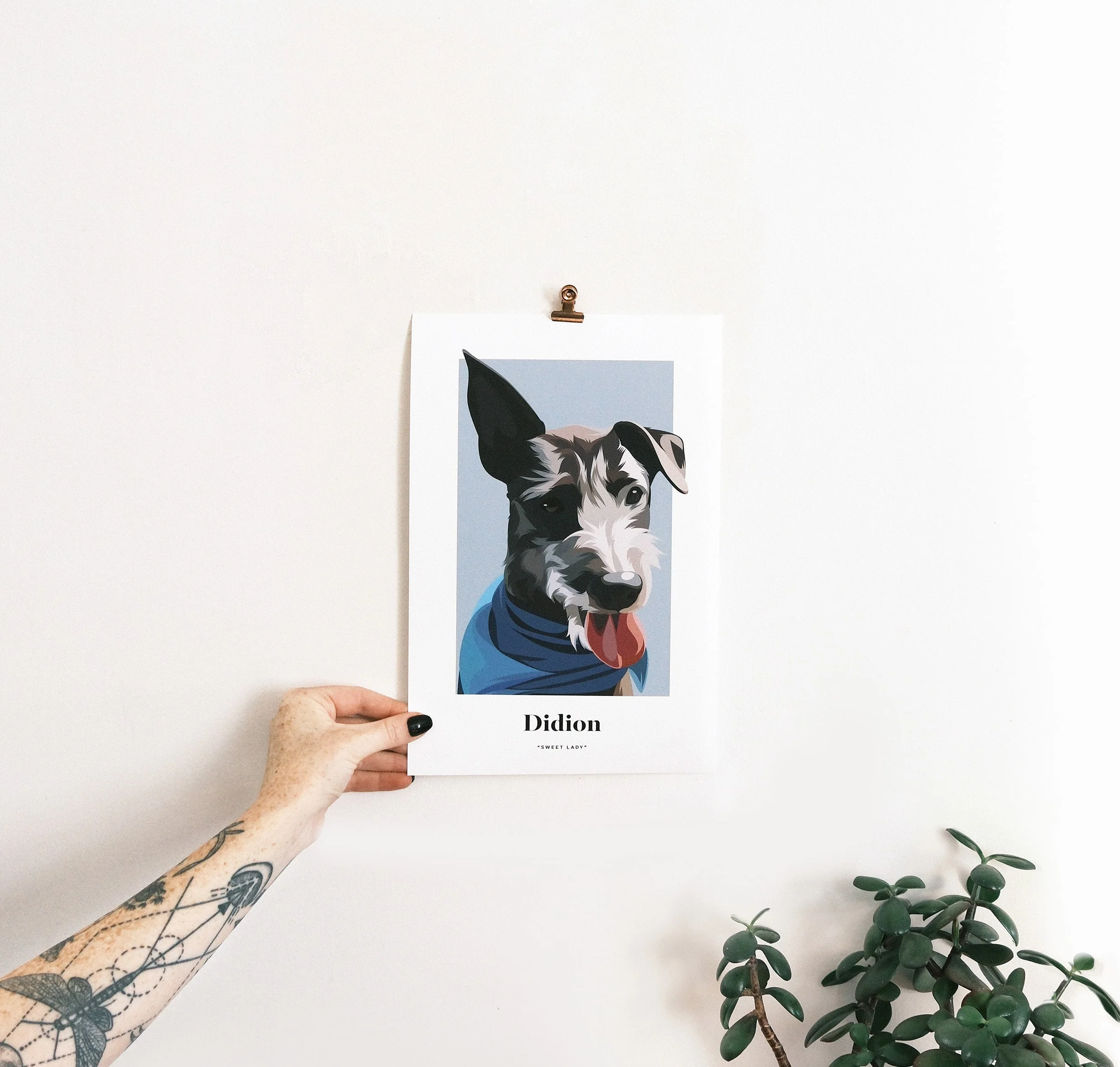 Pet Portrait - Image 27