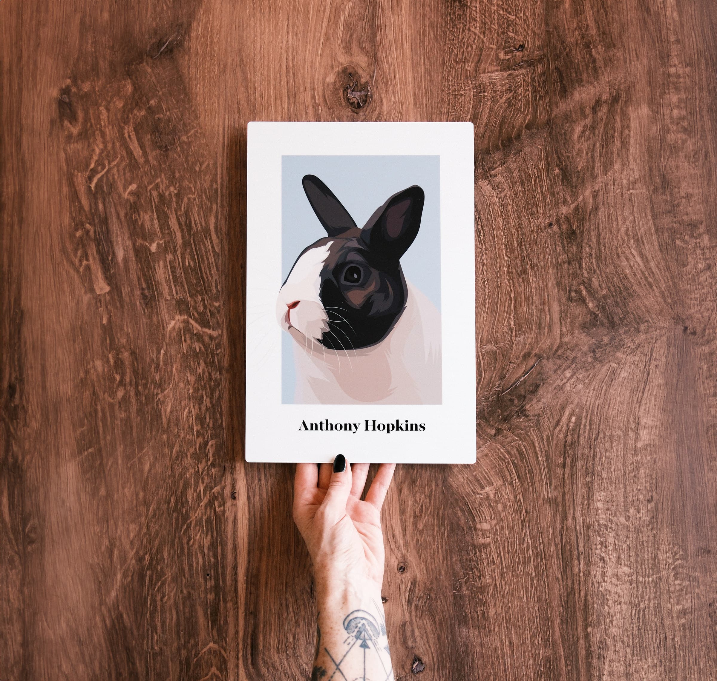 Pet Portrait - Image 4