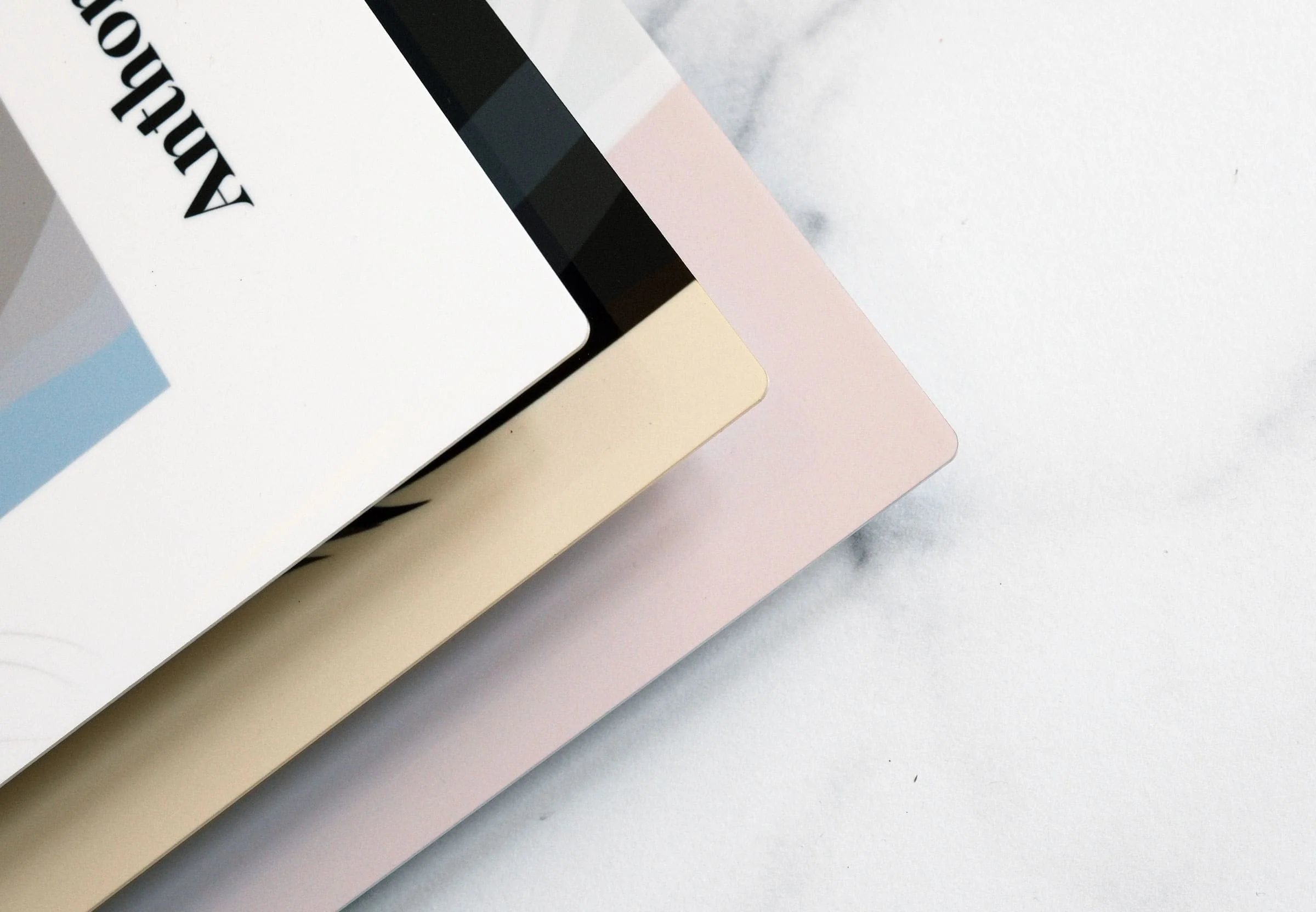 Pet Portrait - Image 6