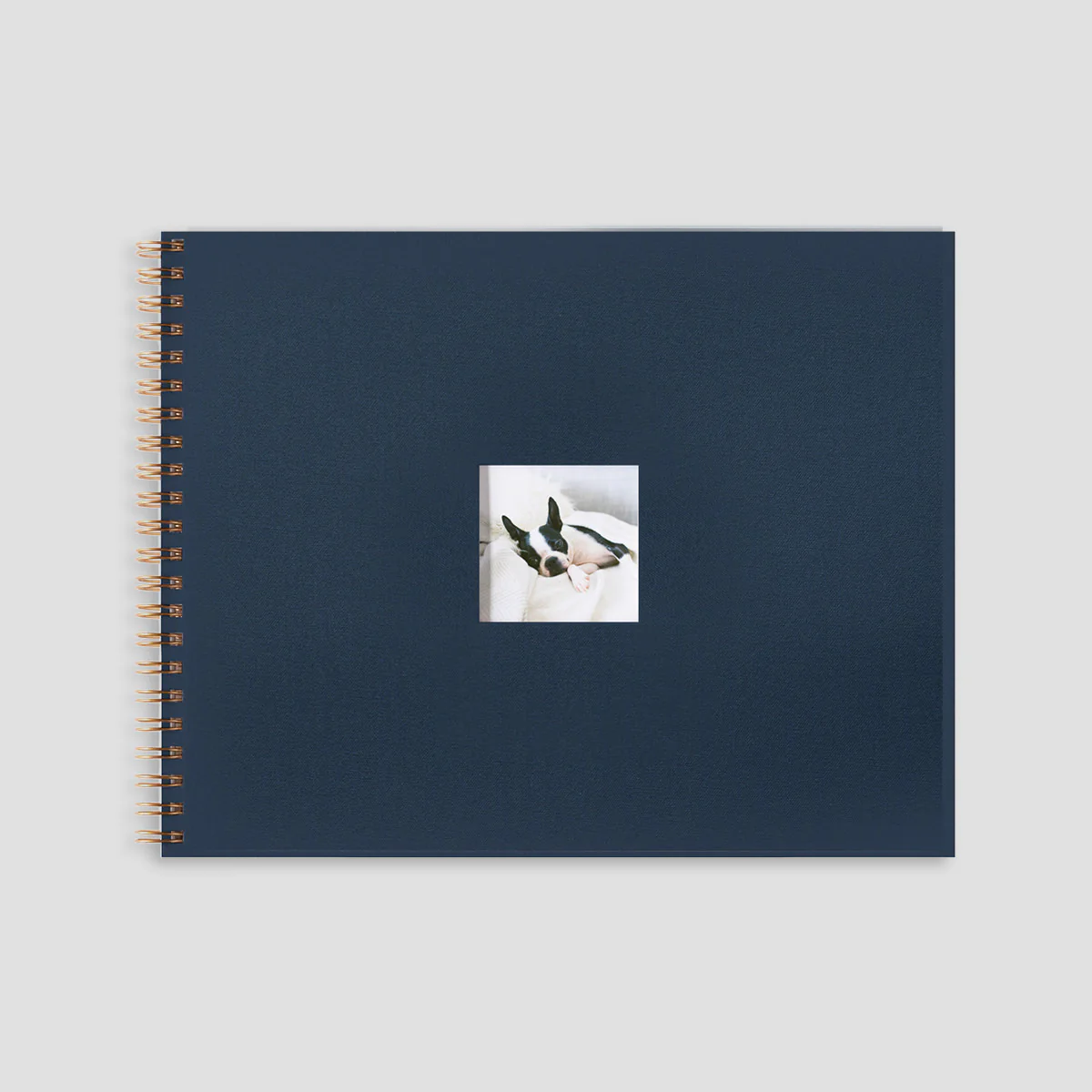 Photo Journal - Image 11