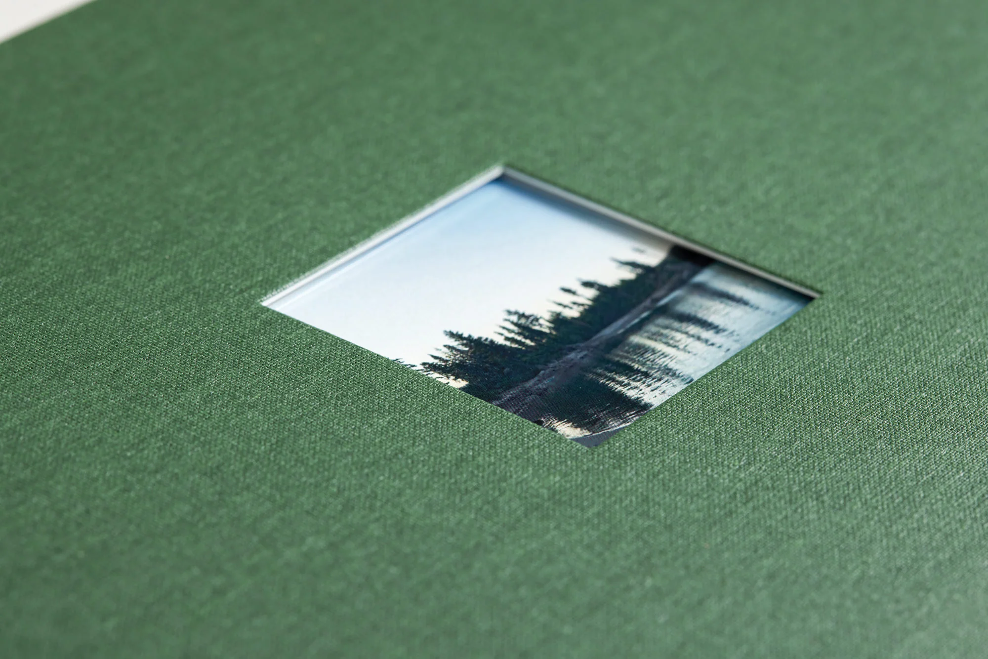 Photo Journal - Image 5