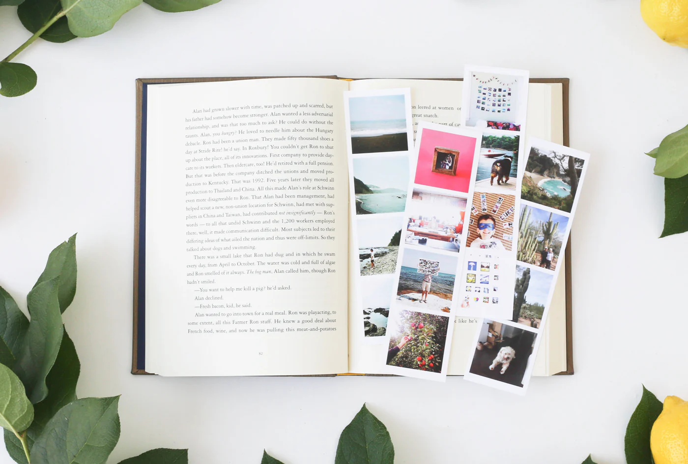 Photo Strips - Image 6