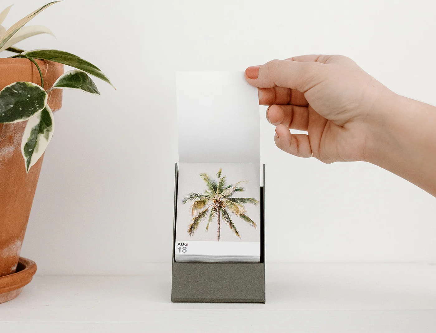 Signature Stand - Image 3